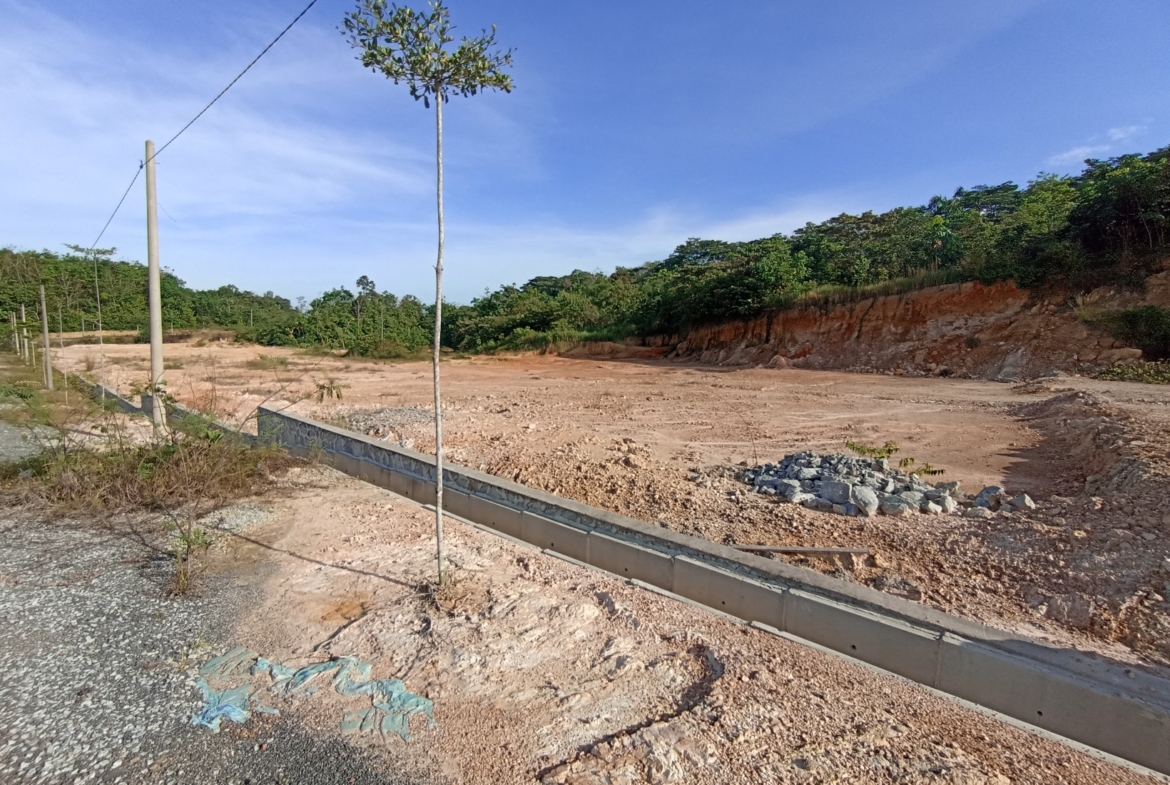 IMG_20230319_090954_copy_1640x1232