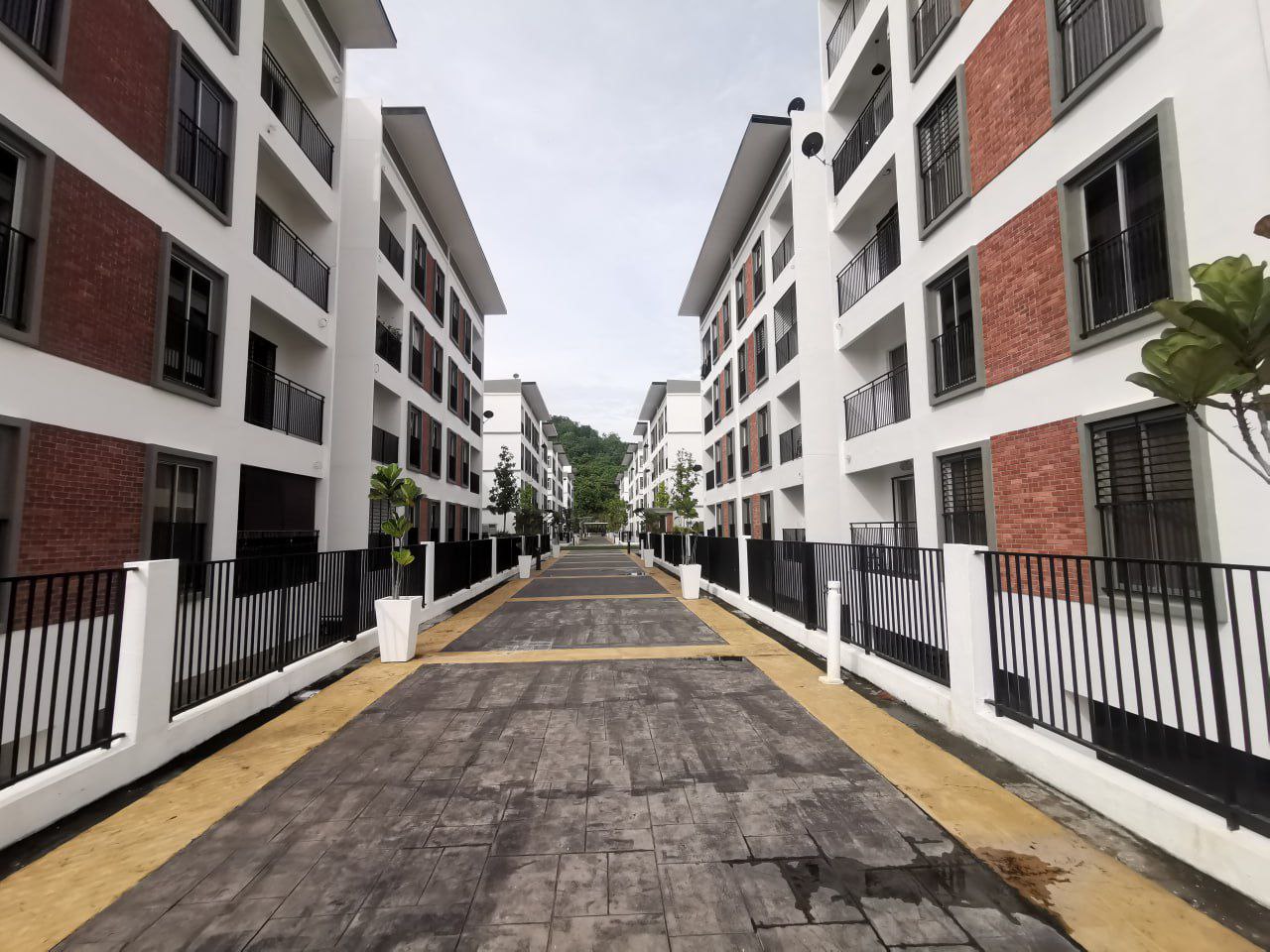 IMG_20260129_154016_125